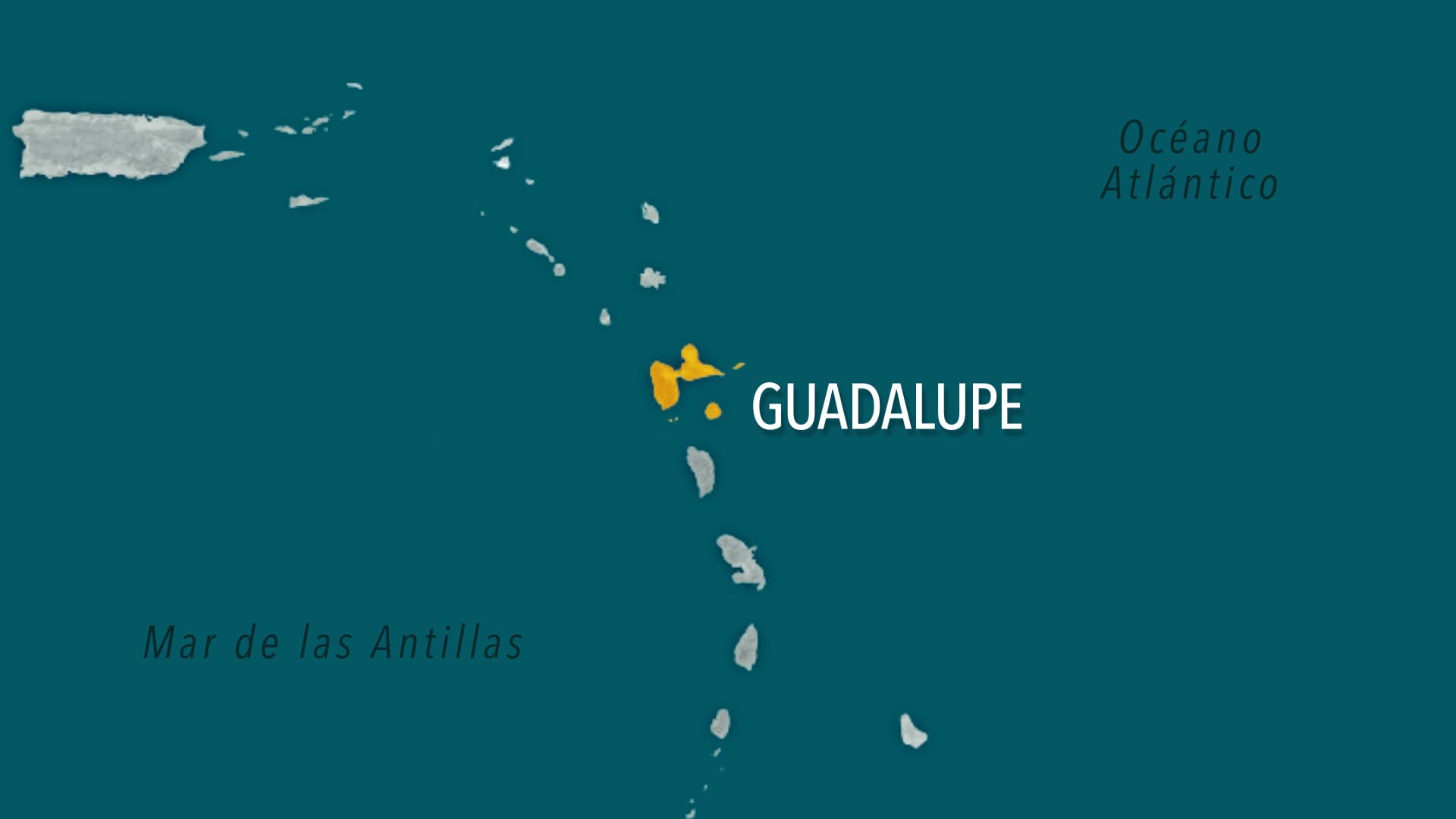 Guadalupe Caribbean Sargassum